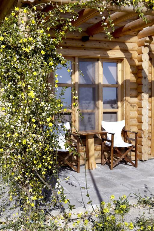 Hyades Mountain Resort Kato Sinikia Trikalon Dış mekan fotoğraf